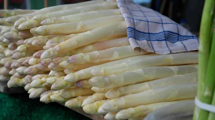 Asperges koken. groene en witte aspergerecepten en gerechten.