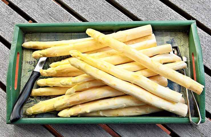 Asperges invriezen