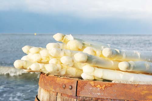Asperges Sauzen