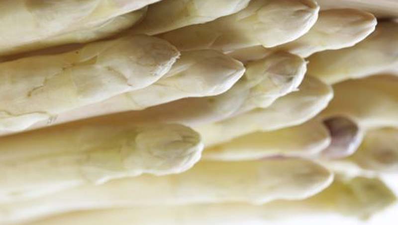 Verse Asperges