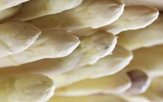 Asperges Koken