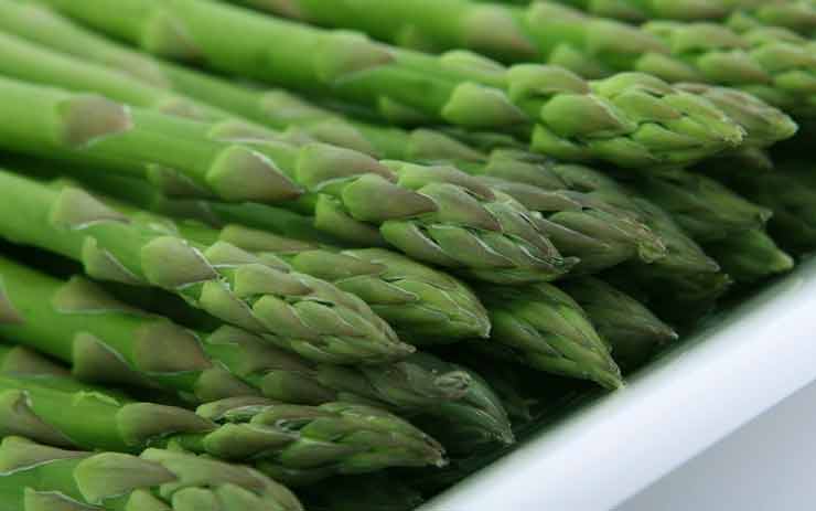 klaarmaken groene asperges klaarmaken groene asperges