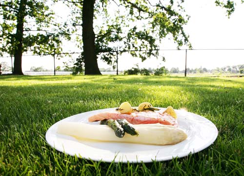 Recepten Asperges