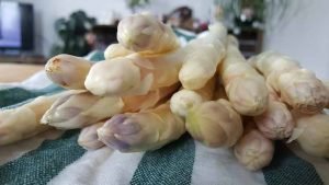 Asperges Bewaren